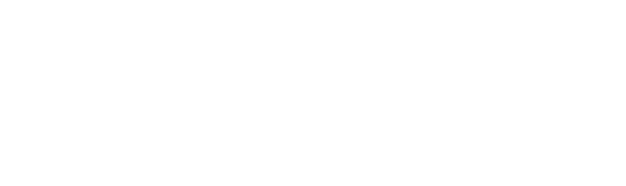 TREIDIS Trade & Consulting